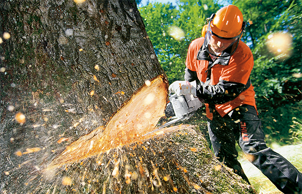 STIHL chainsaw